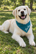 Personalized Dog Name Bandana – Over-the-Collar