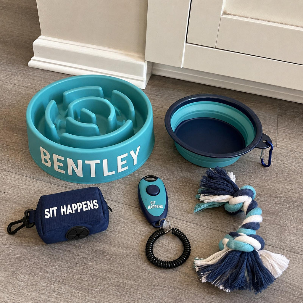 Personalized Puppy Essentials Kit, Custom Slow Feeder Bowl, Gotcha Day Gift Box