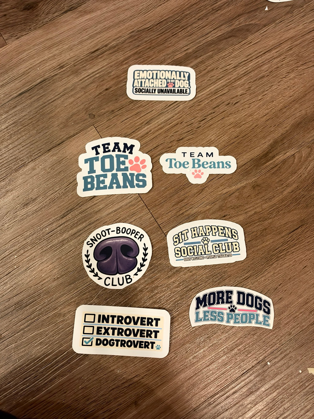 Original photograph of sticker design choices